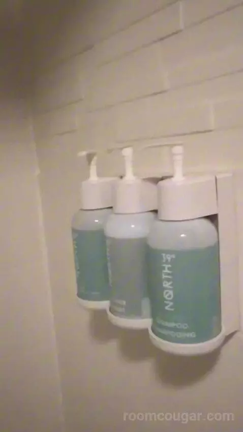 Two-Bedroom Loft (#124) bathroom picture #11