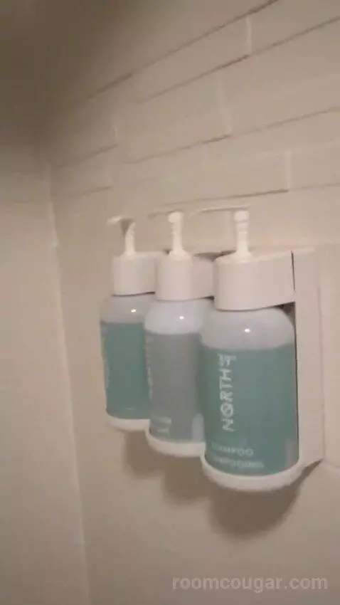 Two-Bedroom Loft (#124) bathroom picture #12