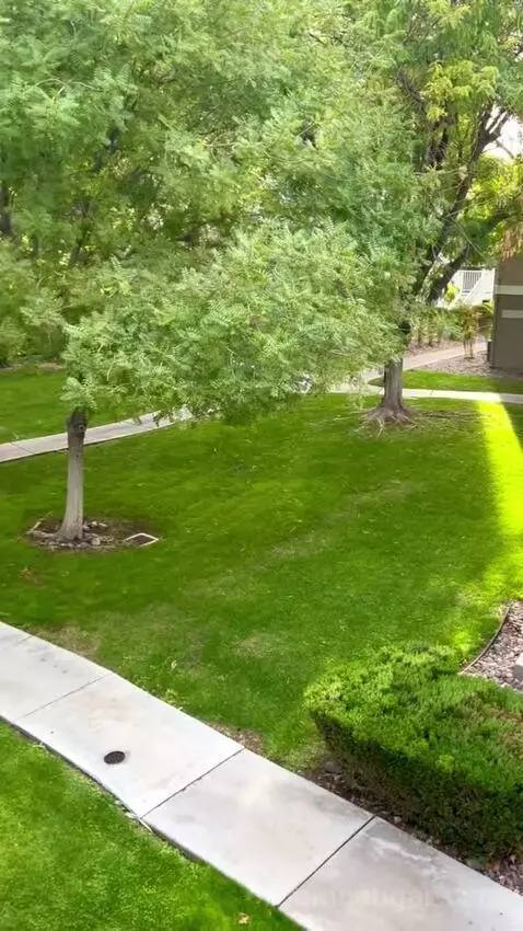 Two-Bedroom Loft (#124) view picture #5