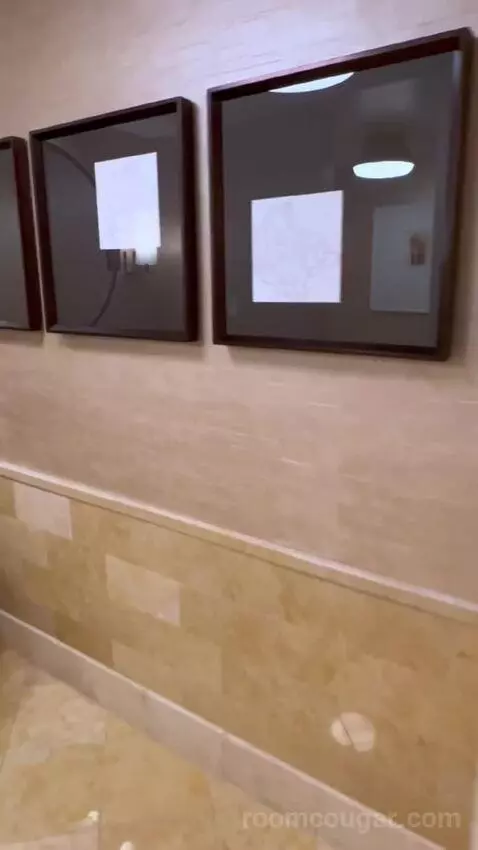 One-Bedroom Suite (#3101) picture #2