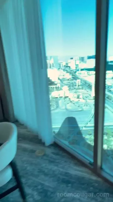 One-Bedroom Suite (#3101) view picture #1