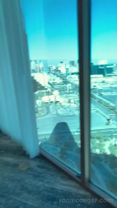 One-Bedroom Suite (#3101) view picture #2