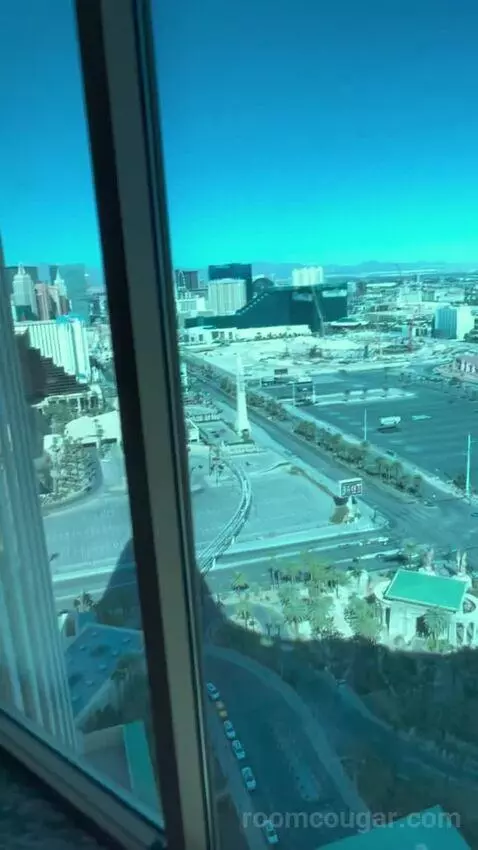 One-Bedroom Suite (#3101) view picture #5