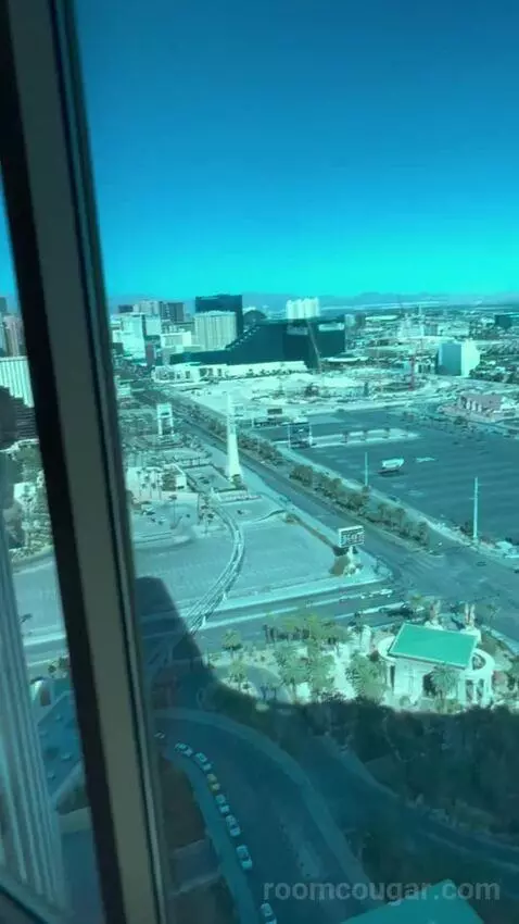 One-Bedroom Suite (#3101) view picture #6