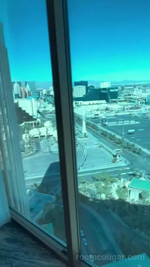 One-Bedroom Suite (#3101) picture #11