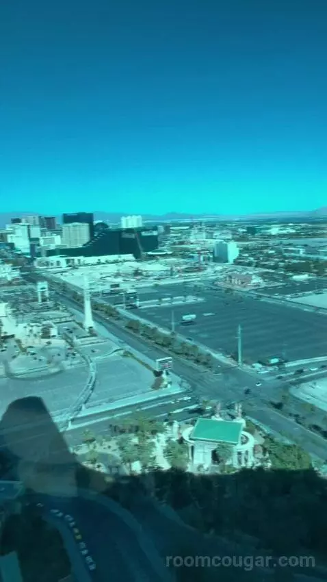 One-Bedroom Suite (#3101) view picture #7