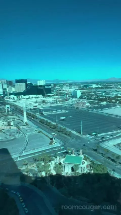 One-Bedroom Suite (#3101) view picture #8