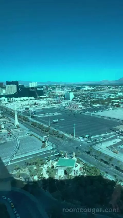 One-Bedroom Suite (#3101) view picture #9