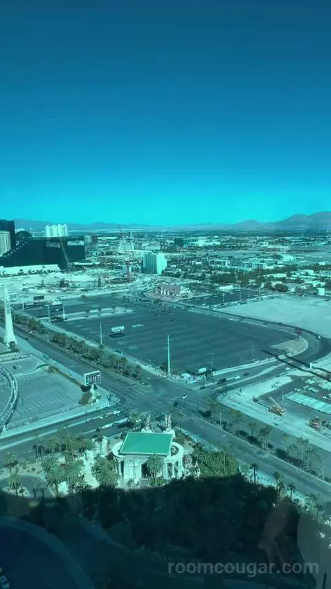 One-Bedroom Suite (#3101) view picture #11