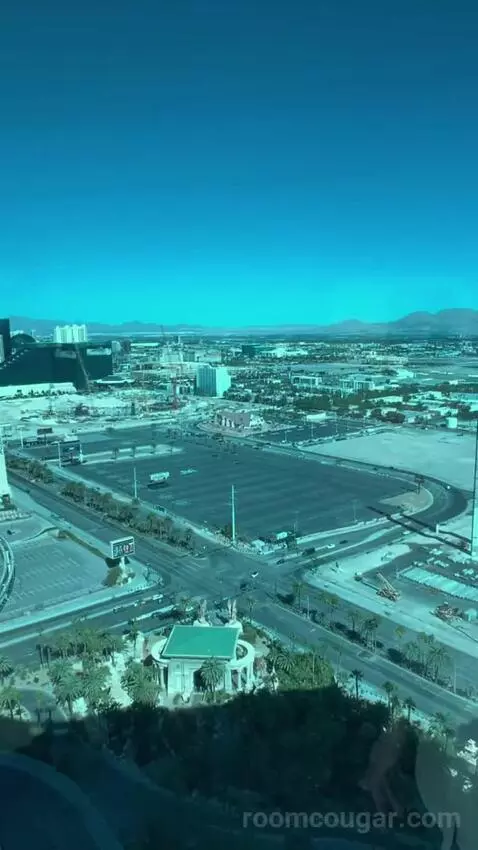 One-Bedroom Suite (#3101) view picture #12