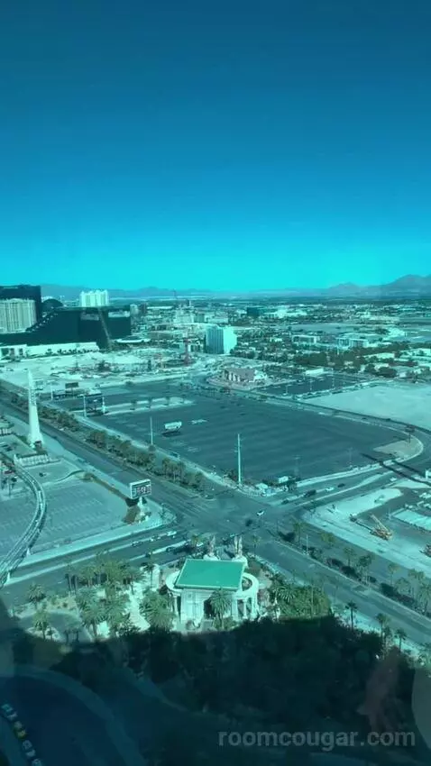 One-Bedroom Suite (#3101) picture #12