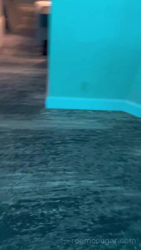 One-Bedroom Suite (#3101) picture #13