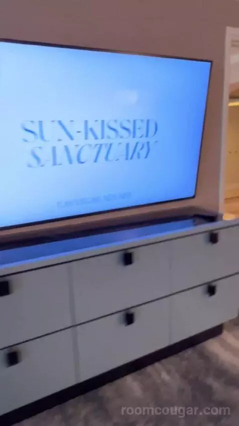 One-Bedroom Suite (#3101) picture #14