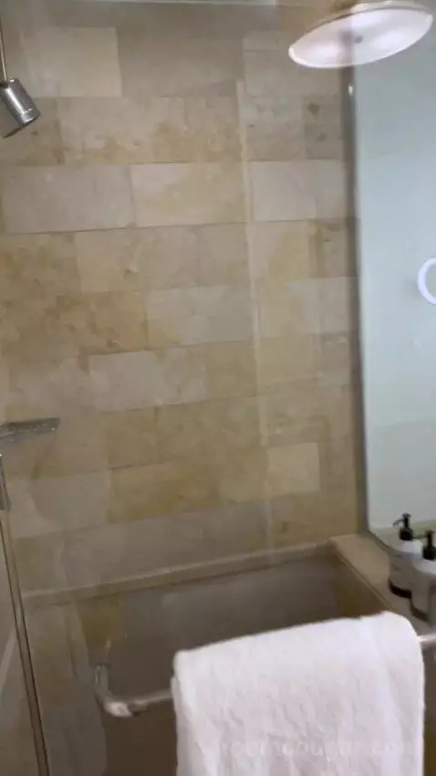 One-Bedroom Suite (#3101) picture #19