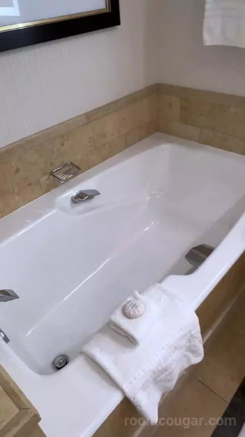 One-Bedroom Suite (#3101) bathroom picture #7