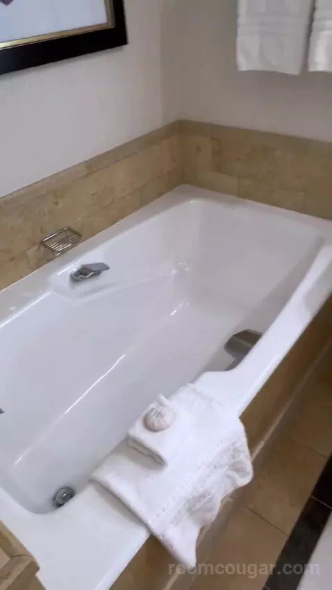 One-Bedroom Suite (#3101) bathroom picture #9