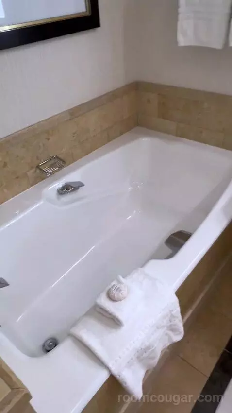 One-Bedroom Suite (#3101) picture #20