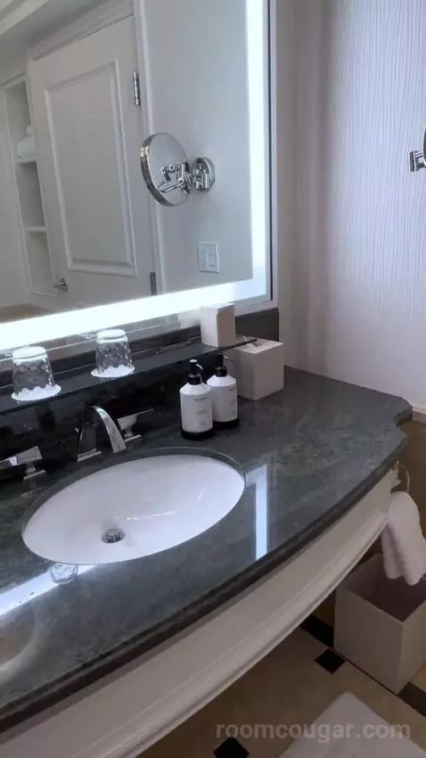 One-Bedroom Suite (#3101) bathroom picture #11