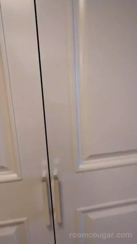 One-Bedroom Suite (#3101) picture #22