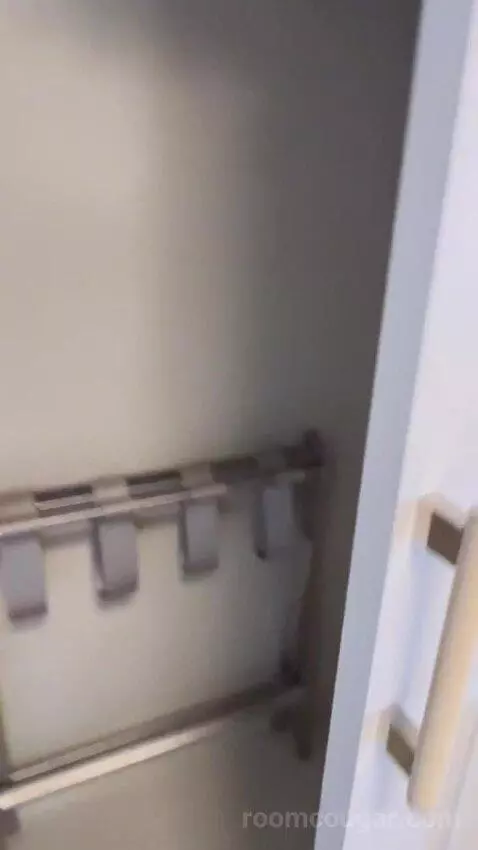 One-Bedroom Suite (#3101) picture #23