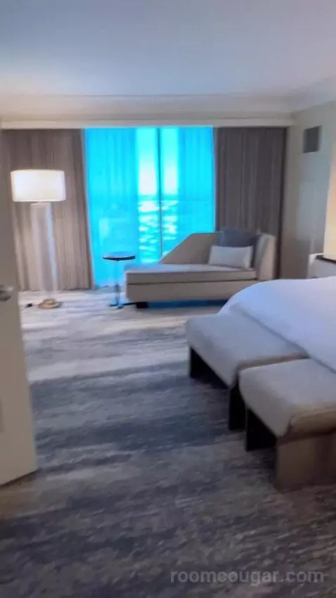 One-Bedroom Suite (#3101) picture #24