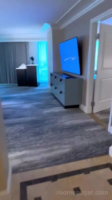 One-Bedroom Suite (#3101) picture #4