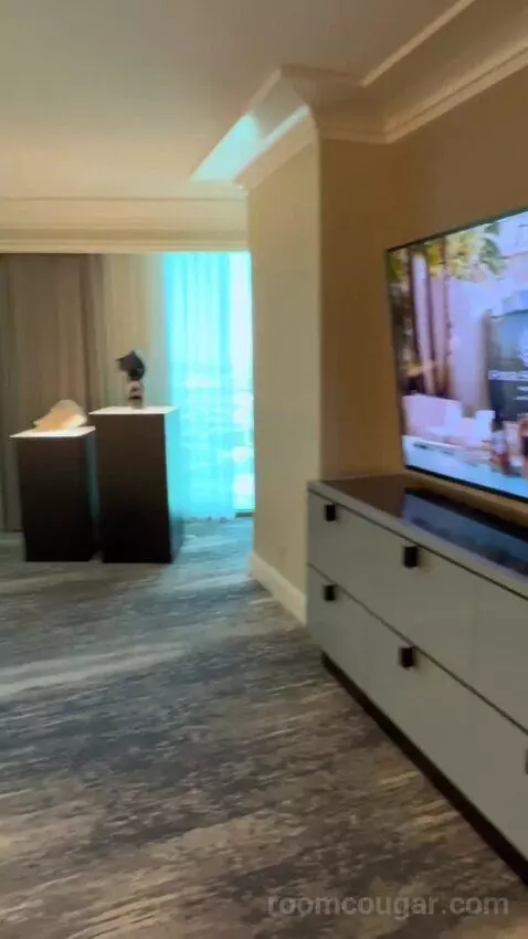 One-Bedroom Suite (#3101) picture #5