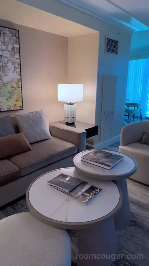 One-Bedroom Suite (#3101) picture #6