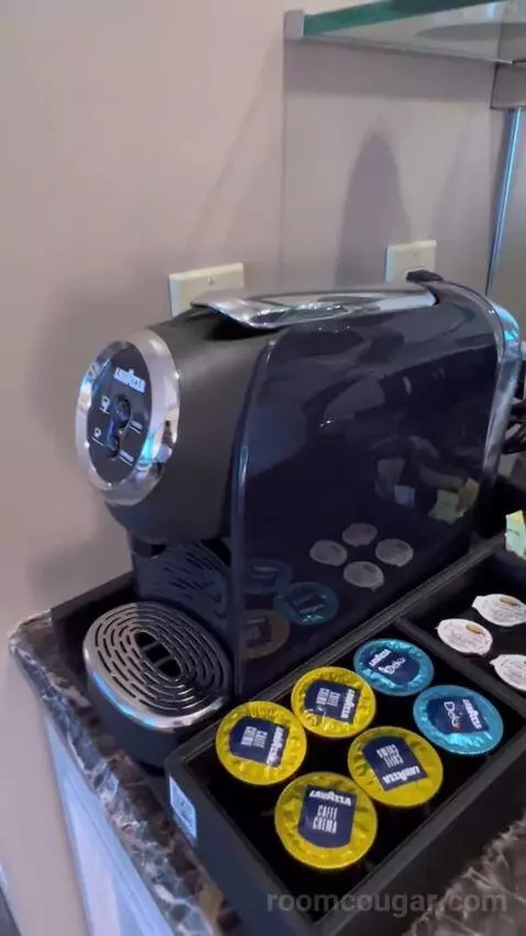 One-Bedroom Suite (#3101) picture #8