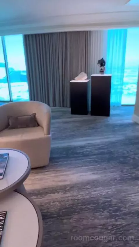 One-Bedroom Suite (#3101) picture #9