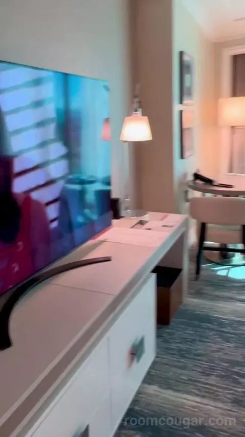 Deluxe King Room with Mountain View (#3204) picture #17