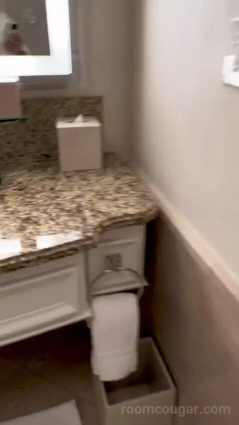 Deluxe King Room with Mountain View (#3204) bathroom picture #1