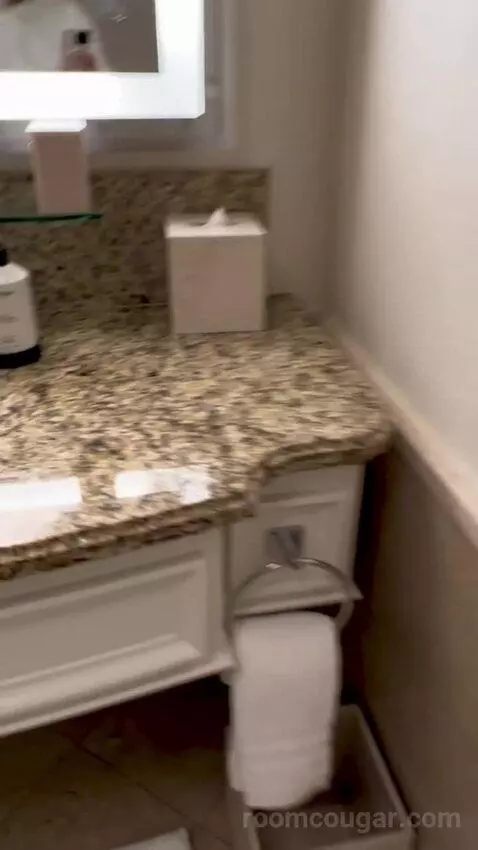 Deluxe King Room with Mountain View (#3204) bathroom picture #2