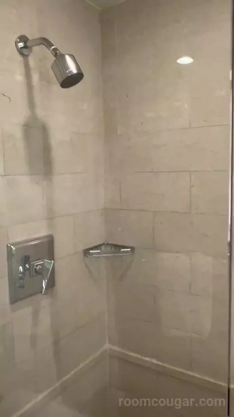 Deluxe King Room with Mountain View (#3204) bathroom picture #10