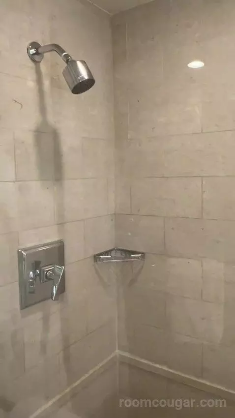 Deluxe King Room with Mountain View (#3204) bathroom picture #12