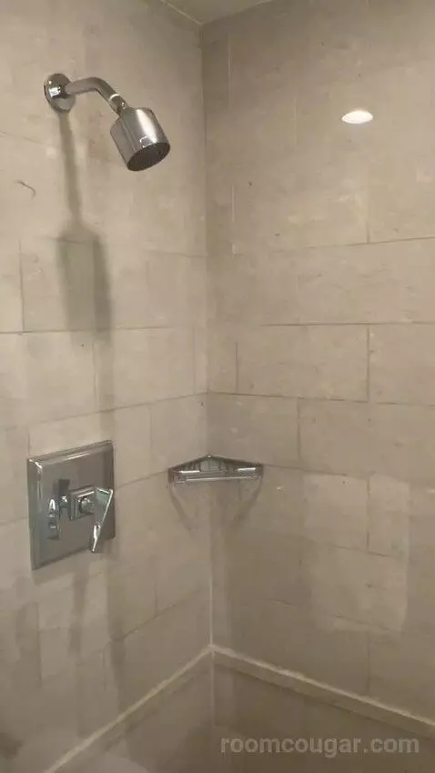 Deluxe King Room with Mountain View (#3204) picture #24