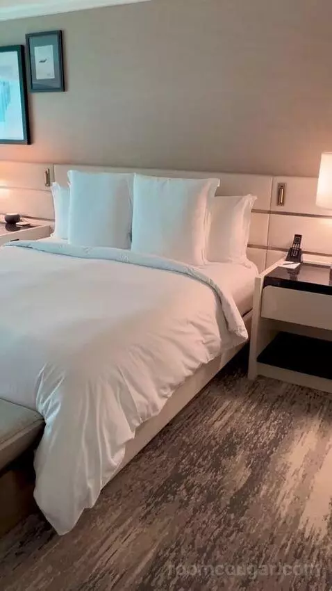 Deluxe King Room with Mountain View (#3204) picture #4