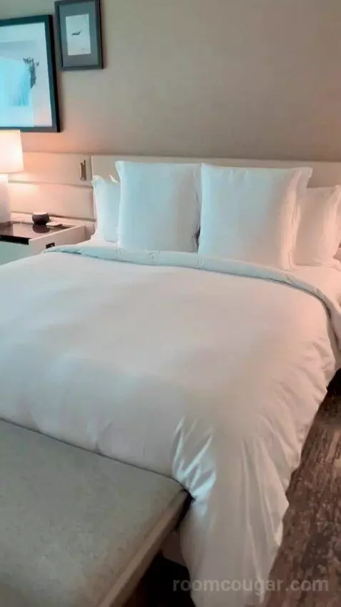 Deluxe King Room with Mountain View (#3204) picture #5