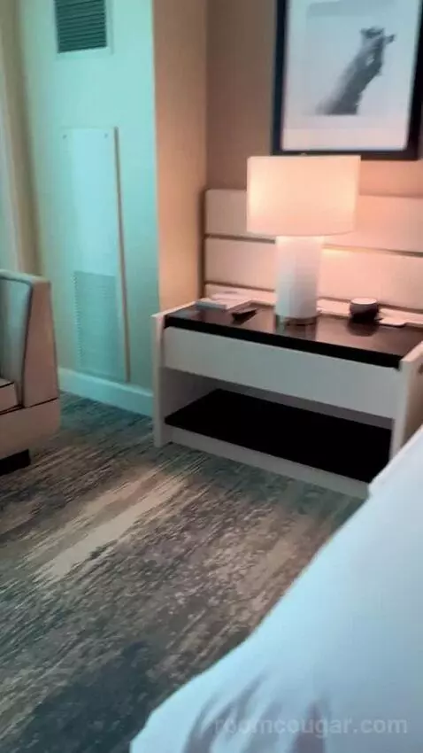 Deluxe King Room with Mountain View (#3204) picture #6