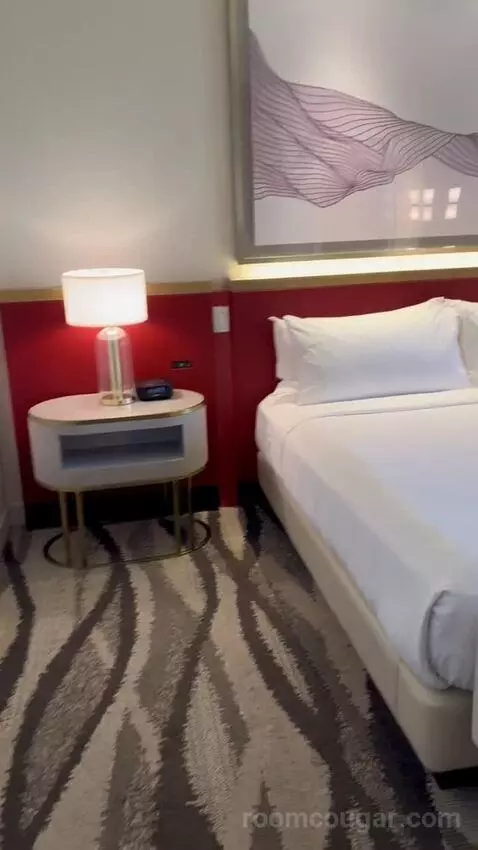 Premium King Room with Resort View (#17276) picture #12