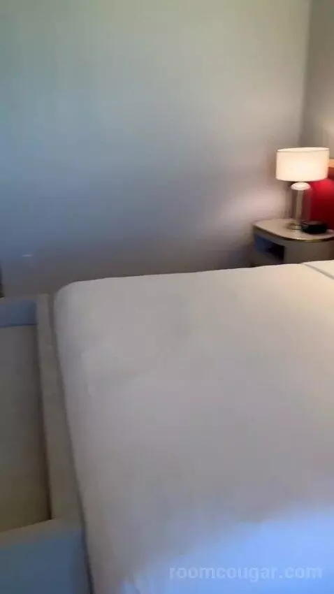 Premium King Room with Resort View (#17276) picture #15