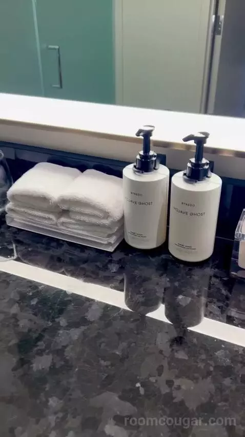 Premium King Room with Resort View (#17276) picture #3