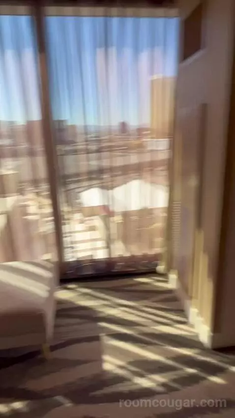 One-Bedroom King Suite with Strip View - Hearing Access (#18208) picture #12