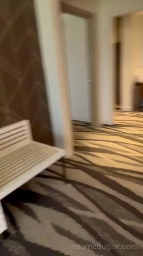 One-Bedroom King Suite with Strip View - Hearing Access (#18208) picture #13