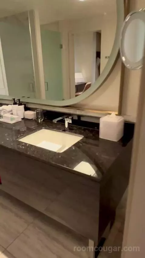 One-Bedroom King Suite with Strip View - Hearing Access (#18208) bathroom picture #1