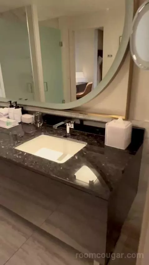 One-Bedroom King Suite with Strip View - Hearing Access (#18208) bathroom picture #2