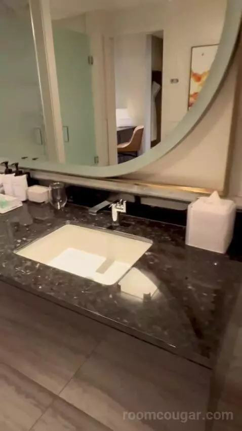 One-Bedroom King Suite with Strip View - Hearing Access (#18208) bathroom picture #4