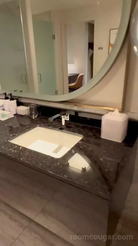 One-Bedroom King Suite with Strip View - Hearing Access (#18208) picture #14