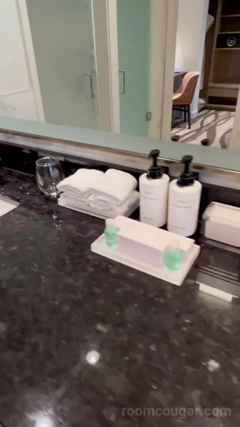 One-Bedroom King Suite with Strip View - Hearing Access (#18208) bathroom picture #6