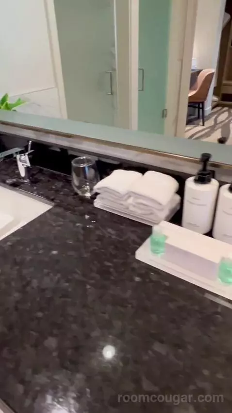 One-Bedroom King Suite with Strip View - Hearing Access (#18208) bathroom picture #8